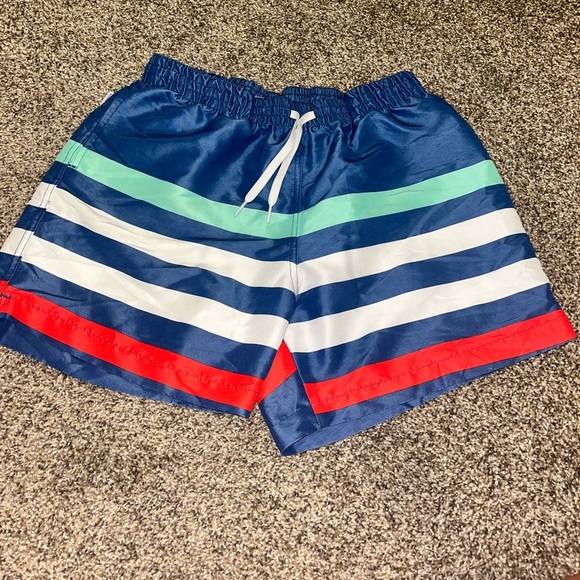 Chubbies Men Swim Trunks XL  blue white red green strip - Picture 1 of 6